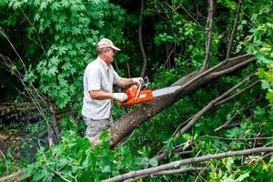 Holzfäller benutzt seine Kettensäge, um den Baum zu schneiden