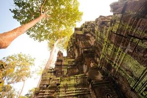 Ta Prohm Tempel, Angkor, Kambodscha foto