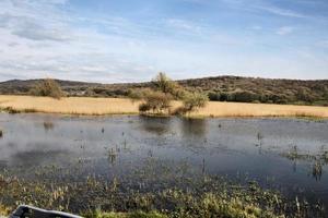 Blick auf das Naturschutzgebiet Leighton Moss foto