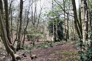 ein blick auf die landschaft von shropshire bei grinshill foto