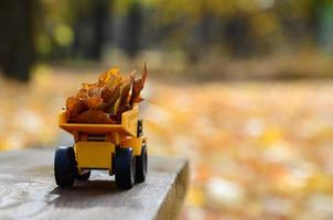 Das Konzept der saisonalen Ernte von Herbstlaub wird in Form eines mit Blättern beladenen gelben Spielzeuglastwagens vor dem Hintergrund des Herbstparks dargestellt foto