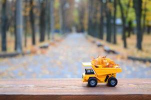 Das Konzept der saisonalen Ernte von Herbstlaub wird in Form eines mit Blättern beladenen gelben Spielzeuglastwagens vor dem Hintergrund des Herbstparks dargestellt foto