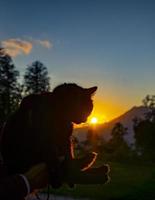 Schwarze Katze in den Armen eines Mannes, der die Berge der untergehenden Sonne betrachtet. Reisen mit Haustieren foto