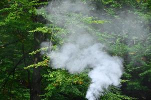 weißer rauch breitet sich über dem hintergrund von waldbäumen aus foto