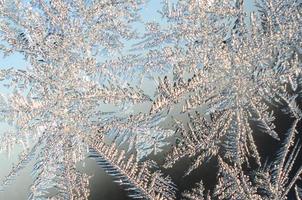 Schneeflocken Frost Raureif Makro auf Fensterglasscheibe foto