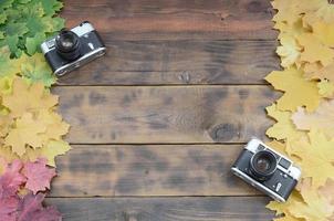 Zwei alte Kameras inmitten einer Reihe von vergilbten gefallenen Herbstblättern auf einer Hintergrundfläche aus natürlichen Holzbrettern von dunkelbrauner Farbe foto