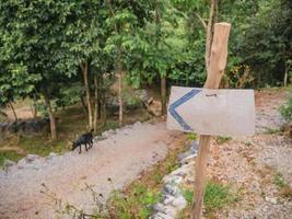 verspotten Sie schmutziges Pfeilzeichen im ländlichen des Landes foto