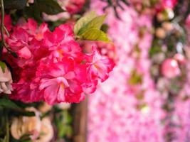 Nahaufnahme gefälschter Rosenblatthintergrund. foto