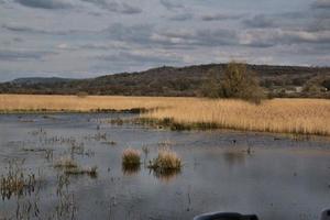 Blick auf das Naturschutzgebiet Leighton Moss foto