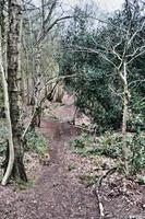 ein blick auf die landschaft von shropshire bei grinshill foto