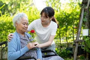 asiatische seniorin oder ältere alte dame, die rote rosenblume, lächeln und glücklich im sonnigen garten hält. foto