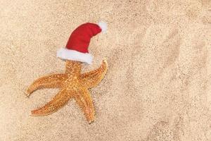 Seestern im roten Weihnachtsmann-Hut auf Sand. sonnig. konzept für weihnachten, neujahr auf meer, urlaub, strand. Platz kopieren foto