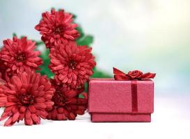 rote blumen mit geschenkbox für ring auf weißem tisch. Burgunder Chrysanthemen. postkarte für den feiertag, am 8. märz, geburtstag, valentinstag, hochzeit, muttertag. Platz kopieren foto