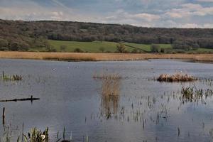 Blick auf das Naturschutzgebiet Leighton Moss foto