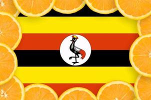 uganda-flagge im rahmen mit frischen zitrusfruchtscheiben foto