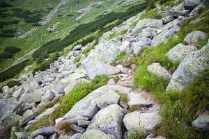 niedrige tatras berge, slowakei foto