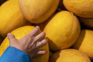 Die Hand der Frau, die süße gelbe Melone von der Lebensmitteltheke im Supermarkt auswählt foto