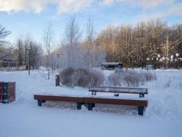 Stadtpark im Winter. Bank in einem Birkenwäldchen. foto