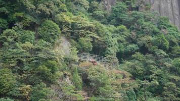 Die wunderschönen Berglandschaften mit dem grünen Wald und einer Plankenstraße, die entlang einer Klippe in der Landschaft Chinas gebaut wurde foto