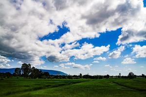 Grünes Reisfeld mit Berghintergrund unter blauem Himmel, Reisfeld mit Panoramablick. foto