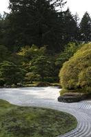 traditioneller japanischer Garten foto