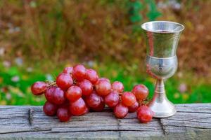 glas wein und trauben jüdische feiertage foto