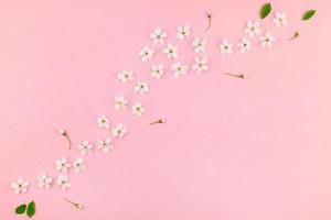weißer Frühlingskirschbaum blühendes Blumenmuster foto