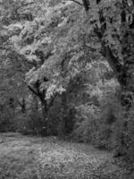 Herbstzeit an einem Fluss in Deutschland foto