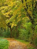 Herbstzeit an einem Fluss in Deutschland foto