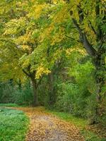 Herbstzeit an einem Fluss in Deutschland foto