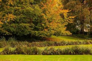 Herbstpark mit grünem Gras, Teich und Bäumen foto