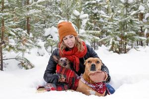 schöne lächelnde frau sitzt auf einem schnee mit ihren zwei hunden, die in rot kariertes plaid gehüllt sind, und zwei tassen heißen tee im winterlichen nadelwald. foto