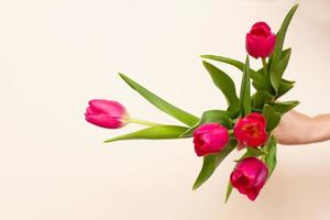 Mädchen hält mit ihren Händen frische zarte rote Tulpen foto