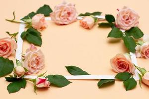 kleine weiße und rosa Blüten einer Rose mit grünen jungen Blättern foto