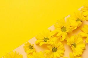 gelbe Blumen auf einem pastellrosa Hintergrund mit einem gelben Blatt. foto