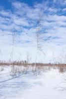 wintersonnenaufgang in russland naturlandschaft foto