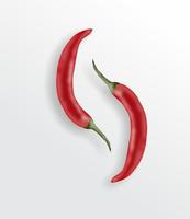 Illustration von zwei großen roten Chilis foto