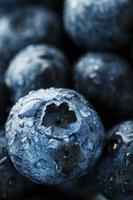 Heidelbeeren Nahaufnahme im Vollbildmodus mit Tautropfen. foto