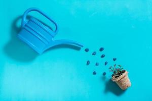 Eine Gießkanne wässert Sprossen in einem Topf auf blauem Hintergrund. foto