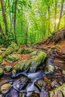 Kaskaden auf klarem Bach im Wald. sommergebirgsbachlandschaft, weiches sonnenlicht. wandern und reisen im freien abenteuerwald, ruhiger bach. ruhige natur nahaufnahme, felsen, moosfrische grüne bäume foto