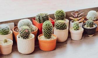 süßer kaktus auf dem tisch mit schönen blumen foto