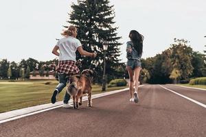 zusammen verrückt werden. Rückansicht in voller Länge von schönen jungen Paaren, die mit ihrem Hund laufen, während sie Zeit im Freien verbringen foto