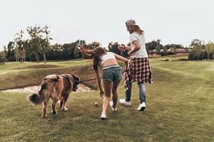 so viel Spaß zusammen haben. Rückansicht in voller Länge von jungen modernen Paaren, die mit ihrem Hund spielen, während sie im Park spazieren gehen foto