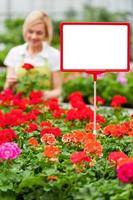 Kopieren Sie Platz für Ihre Anzeige. Nahaufnahme des Kopierbereichs auf dem Handelsschild mit einer Frau, die mit Blumen im Hintergrund arbeitet foto