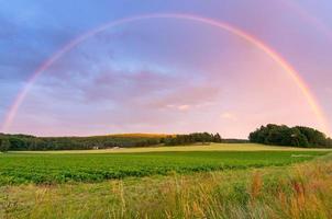Regenbogen über schwedischem Feld