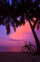 tropischer Sonnenuntergang mit Palmen und Fahrrad am Strand