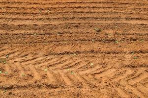 die Textur der braunen Erde der Sandstraße mit Spuren der Reifenprofile der Autoreifen des Traktors. der Hintergrund foto