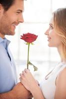 romantischer Augenblick. Fröhliches junges Liebespaar, das eine rote Rose zusammenhält und lächelt, während es von Angesicht zu Angesicht steht foto