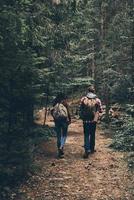 auf dem Weg zu unbekannten Orten. Rückansicht in voller Länge eines modernen jungen Paares, das zusammen im Wald wandert, während es seine Reise genießt foto