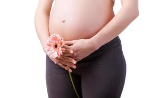 Schwangerschaft. Zugeschnittenes Bild einer schwangeren Frau, die eine Blume hält, während sie isoliert auf Weiß steht foto